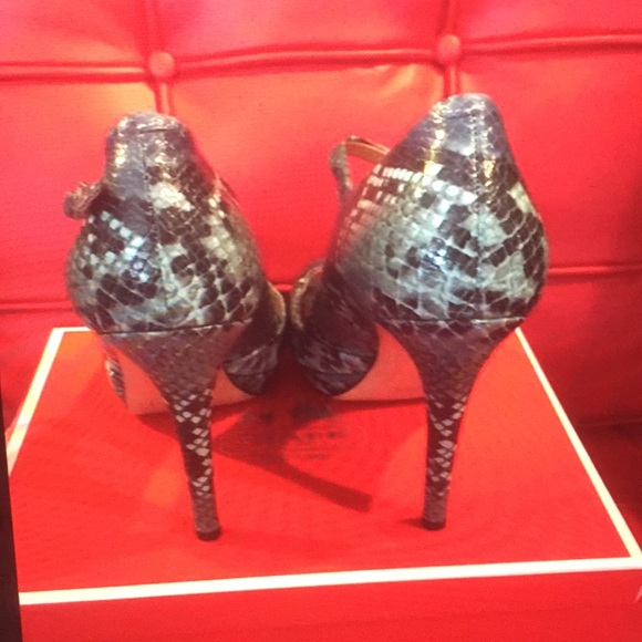 AUTHENTIC COACH SHOE - PRINTED SNAKE - Picture 4 of 7